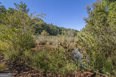 8995 Gullatt Road, Palmetto, GA 30268 - Photo 91