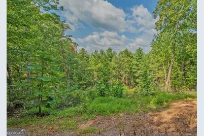 315 Skyview Circle, Clarkesville, GA 30523 - Photo 11