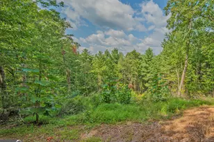 315 Skyview Cir, Clarkesville, GA 30523 - Photo 11