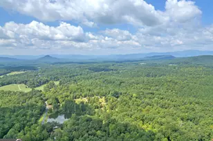 315 Skyview Cir, Clarkesville, GA 30523 - Photo 51