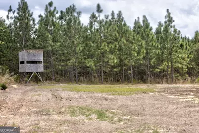 0 Rushing Boone Road, Glennville, GA 30427 - Photo 5