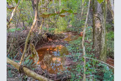 132 Acres Carlisle Gap Road, Woodland, GA 31836 - Photo 29