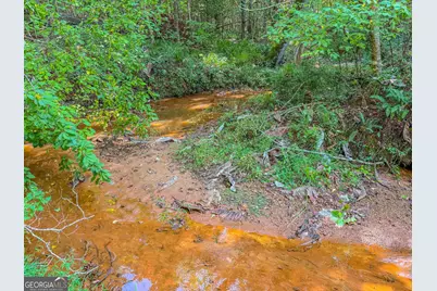 132 Acres Carlisle Gap Road, Woodland, GA 31836 - Photo 17