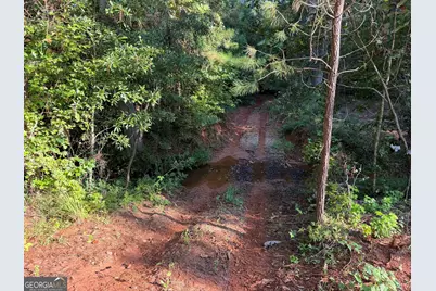 132 Acres Carlisle Gap Road, Woodland, GA 31836 - Photo 39