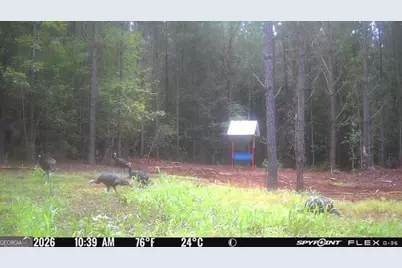 132 Acres Carlisle Gap Road, Woodland, GA 31836 - Photo 35