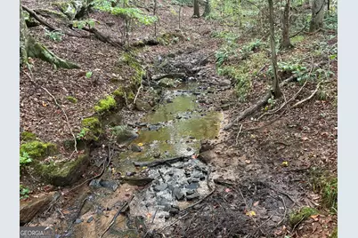 132 Acres Carlisle Gap Road, Woodland, GA 31836 - Photo 67