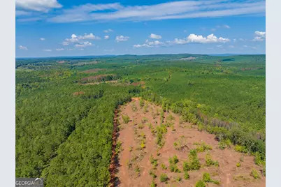 132 Acres Carlisle Gap Road, Woodland, GA 31836 - Photo 75
