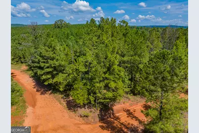 132 Acres Carlisle Gap Road, Woodland, GA 31836 - Photo 77