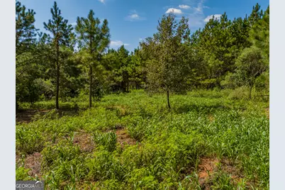 132 Acres Carlisle Gap Road, Woodland, GA 31836 - Photo 25