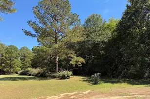 231 Broad Mdws Rd, Dublin, GA 31021 - Photo 7