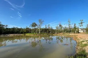 301 Jericho Ln, Brooklet, GA 30415 - Photo 75
