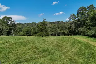 448 Dixie Meadow Ln, Mount Airy, GA 30563 - Photo 59