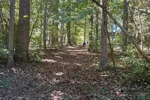 11 Jimmy Parish Dr, Lavonia, GA 30553 - Photo 25