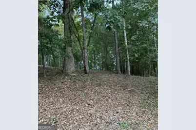 126 Big Cotton Trail, McDonough, GA 30252 - Photo 5