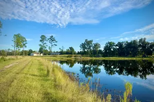 1678 Broxton Hwy, Hazlehurst, GA 31539 - Photo 83