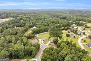 1009 Honey Ln, Loganville, GA 30052 - Photo 55