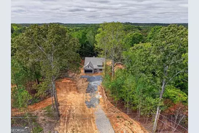 7824 Georgia Highway 100, Buchanan, GA 30113 - Photo 5