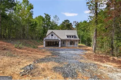 7824 Georgia Highway 100, Buchanan, GA 30113 - Photo 3