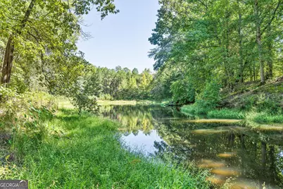 2993 Highway 42 N, Forsyth, GA 31029 - Photo 23
