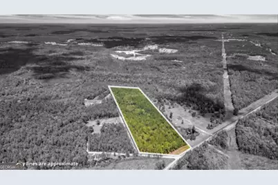 15.5 Ac Elim Church Road NE, Ludowici, GA 31316 - Photo 3