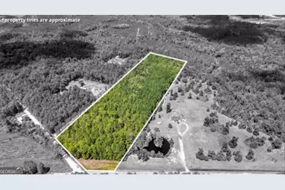15.5 Ac Elim Church Road NE, Ludowici, GA 31316 - Photo 1