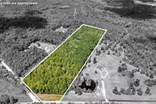 15 5 Ac Elim Church Road NE, Ludowici, GA 31316 - Photo 1