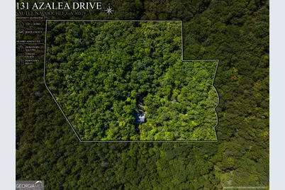 131 Azalea Drive, Sautee Nacoochee, GA 30571 - Photo 3