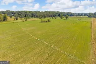5479 Hwy 63, Toccoa, GA 30577 - Photo 101