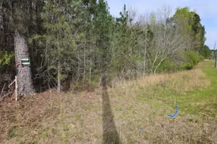 0 US Hwy 341 N, Musella, GA 31066 - Photo 1