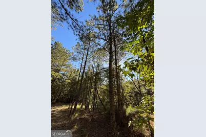 1044 Highway 19, Meansville, GA 30256 - Photo 9