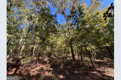 1044 Highway 19, Meansville, GA 30256 - Photo 7