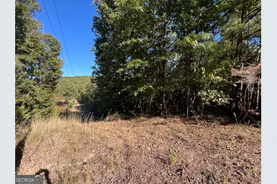 1044 Highway 19, Meansville, GA 30256 - Photo 5