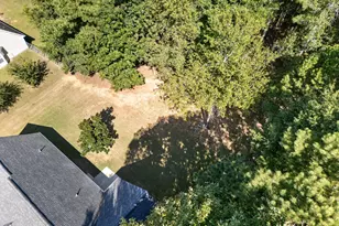 316 Cobb Ct, Hampton, GA 30228 - Photo 27