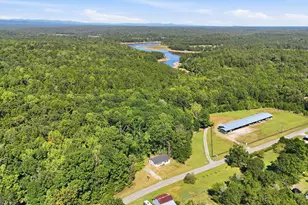 2421 E Silver Shoals Rd, Toccoa, GA 30577 - Photo 39