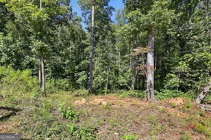 2421 E Silver Shoals Rd, Toccoa, GA 30577 - Photo 35