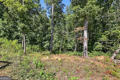 2421 E Silver Shoals Road, Toccoa, GA 30577 - Photo 35