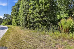 2421 E Silver Shoals Rd, Toccoa, GA 30577 - Photo 37