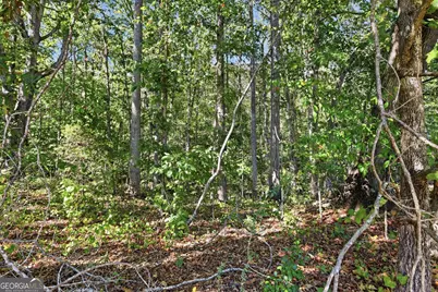 2421 E Silver Shoals Road, Toccoa, GA 30577 - Photo 39