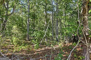 2421 E Silver Shoals Rd, Toccoa, GA 30577 - Photo 39