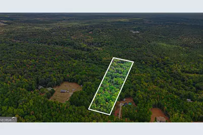 0 River Road, Monticello, GA 31064 - Photo 9