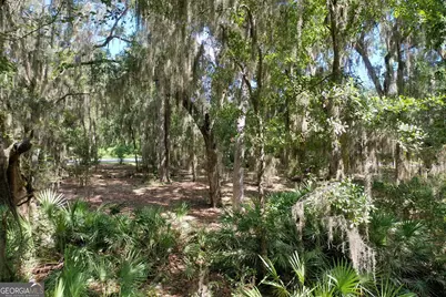 0 White Caps Way #1077, Saint Marys, GA 31558 - Photo 3
