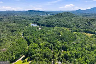 270 Woodbrier, Sautee Nacoochee, GA 30571 - Photo 45