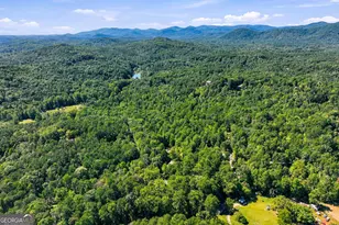 270 Woodbrier, Sautee Nacoochee, GA 30571 - Photo 47