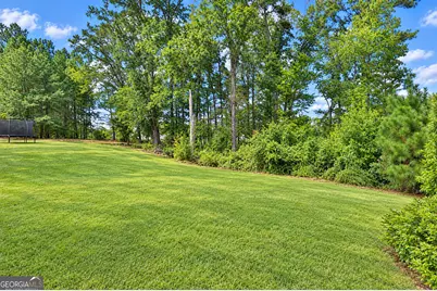 160 Duck Drive, Senoia, GA 30276 - Photo 15