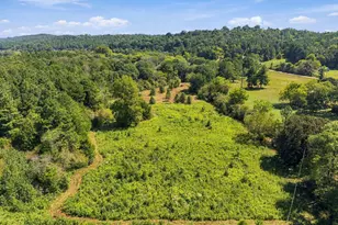 1458 Old Cedartown Road SE, Lindale, GA 30147 - Photo 33