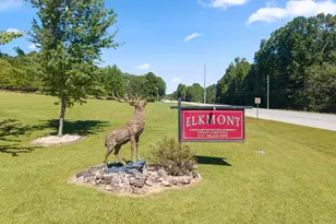 241 Elkmont Trl, Cleveland, GA 30528 - Photo 47