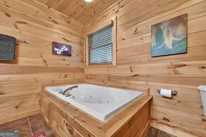 8 North Face Drive, Blue Ridge, GA 30513 - Photo 55