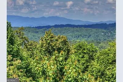 8 North Face Drive, Blue Ridge, GA 30513 - Photo 21