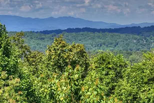 8 North Face Dr, Blue Ridge, GA 30513 - Photo 21