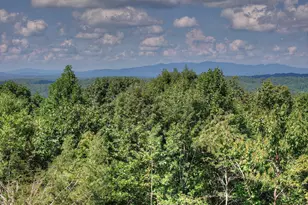 8 North Face Dr, Blue Ridge, GA 30513 - Photo 17